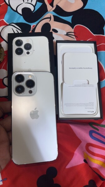 1000079618